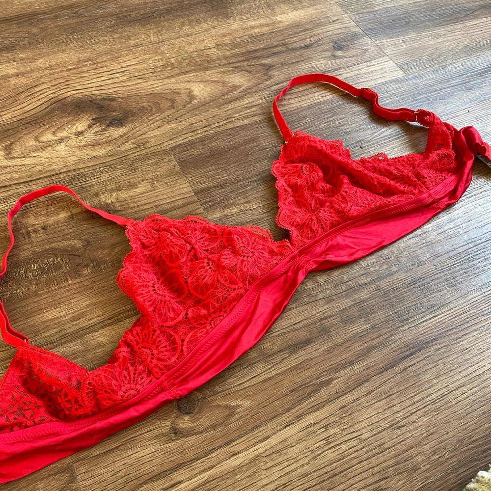 Red aerie bra